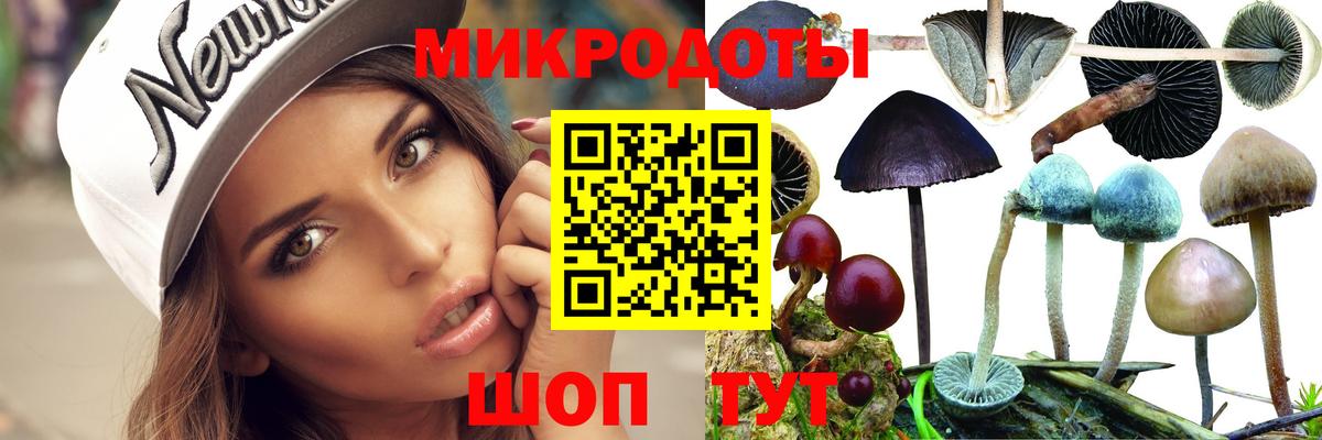 Галлюциногенные грибы прущие грибы Истра