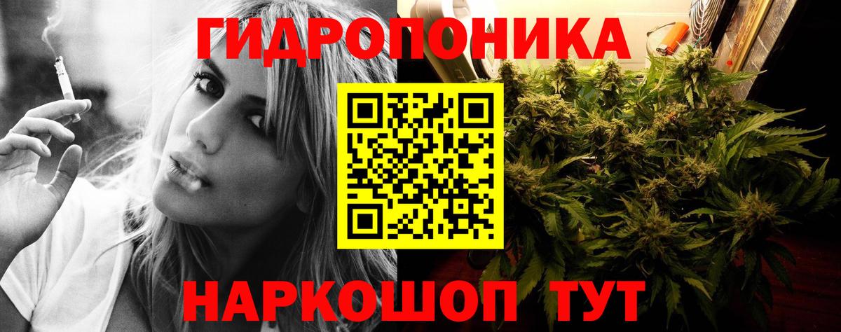 Канабис сатива Истра